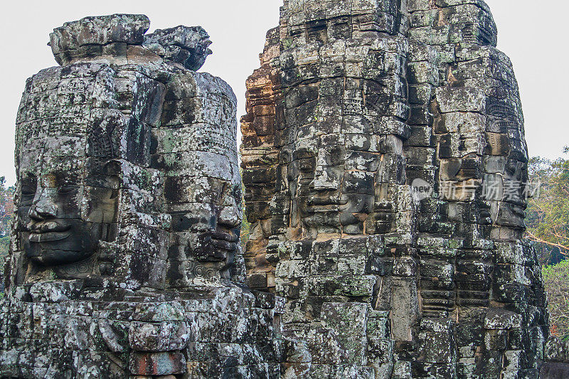 Ta Prohm Temple -柬埔寨